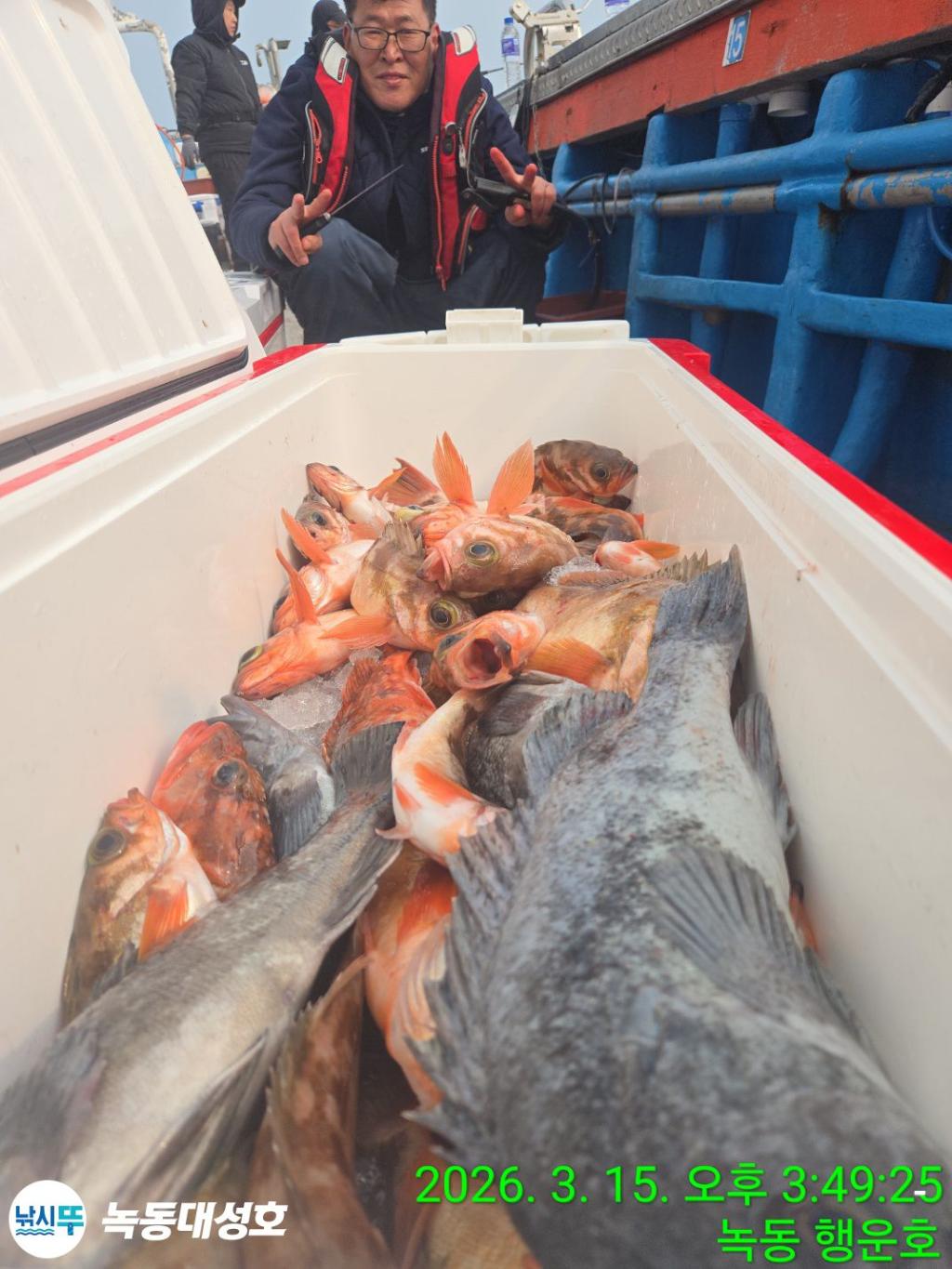 낚시뚜,우럭,열기,녹동항,녹동대성호,낚시뚜16