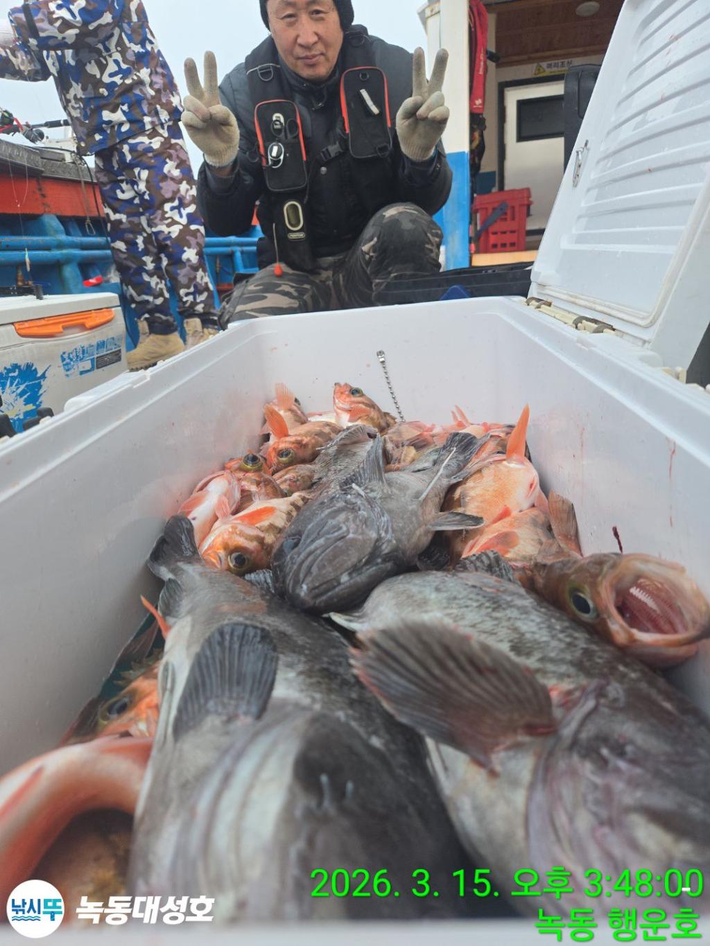 낚시뚜,우럭,열기,녹동항,녹동대성호,낚시뚜15