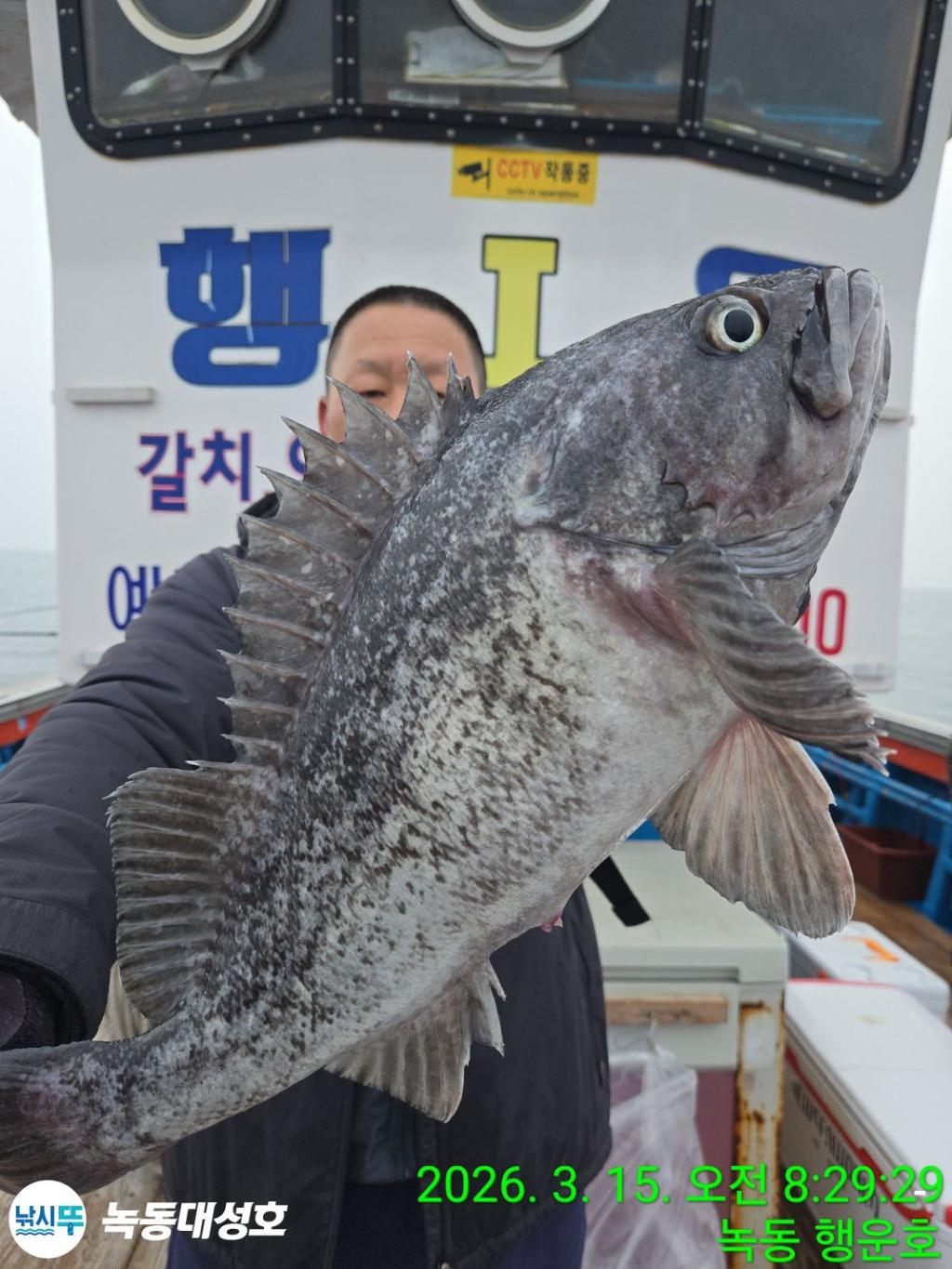 낚시뚜,우럭,열기,녹동항,녹동대성호,낚시뚜13