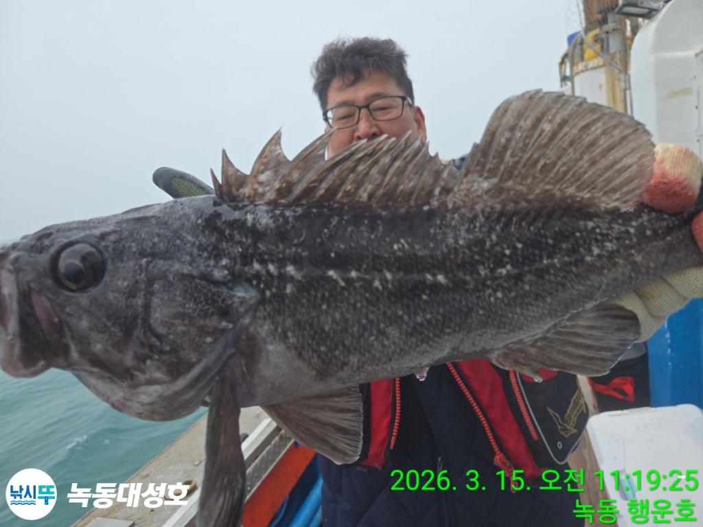 낚시뚜,우럭,열기,녹동항,녹동대성호,낚시뚜12