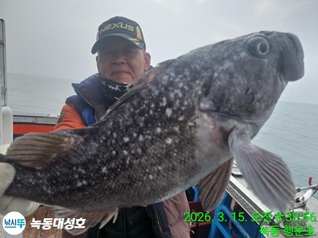 낚시뚜,우럭,열기,녹동항,녹동대성호,낚시뚜11