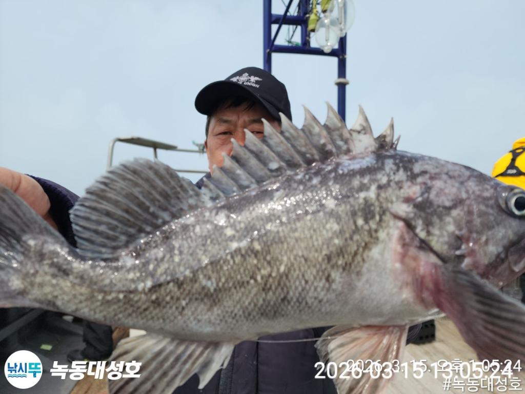 낚시뚜,우럭,열기,녹동항,녹동대성호,낚시뚜9