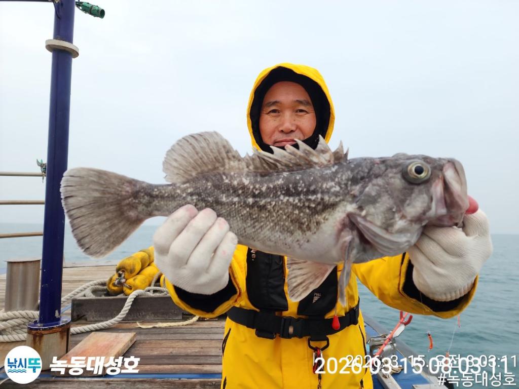낚시뚜,우럭,열기,녹동항,녹동대성호,낚시뚜8