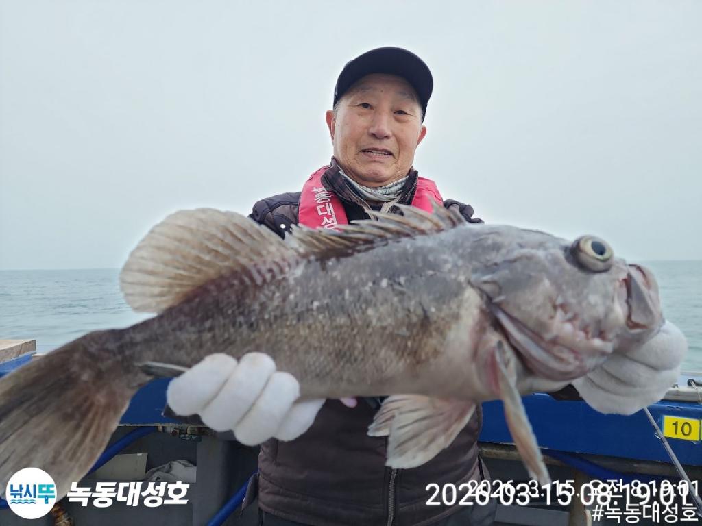 낚시뚜,우럭,열기,녹동항,녹동대성호,낚시뚜4