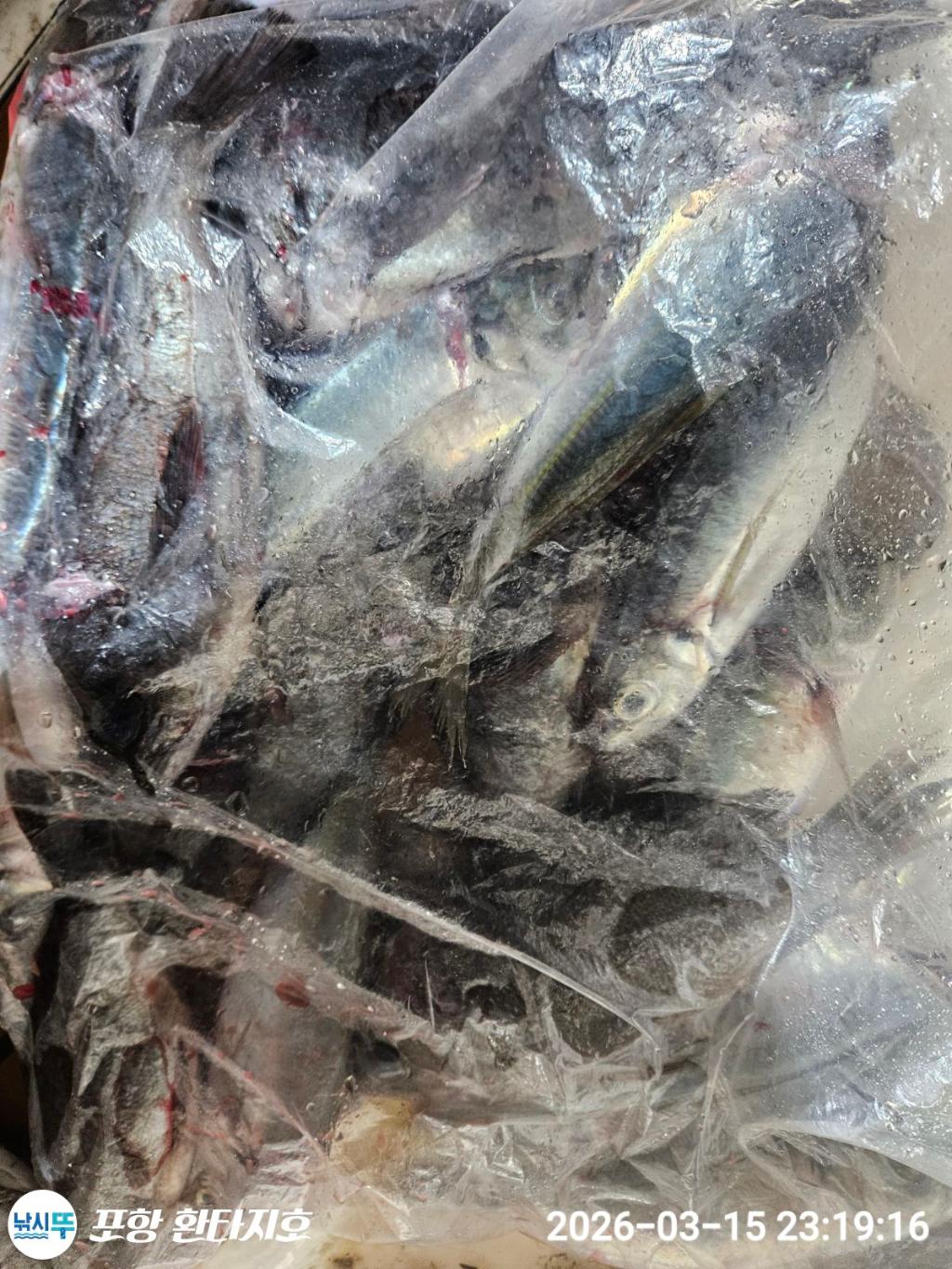 낚시뚜,볼락,포항 동빈항,포항 환타지호,낚시뚜3