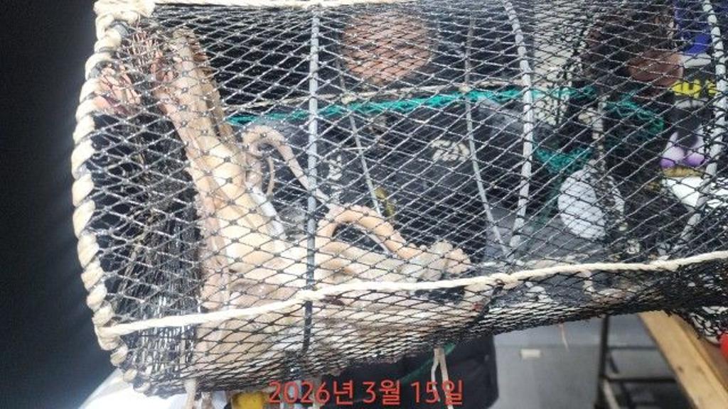 낚시뚜,도다리,속천항(진해),바루나피싱,낚시뚜14