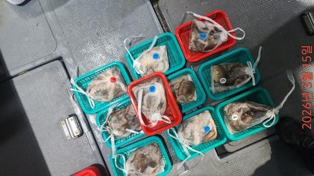 낚시뚜,도다리,속천항(진해),바루나피싱,낚시뚜13