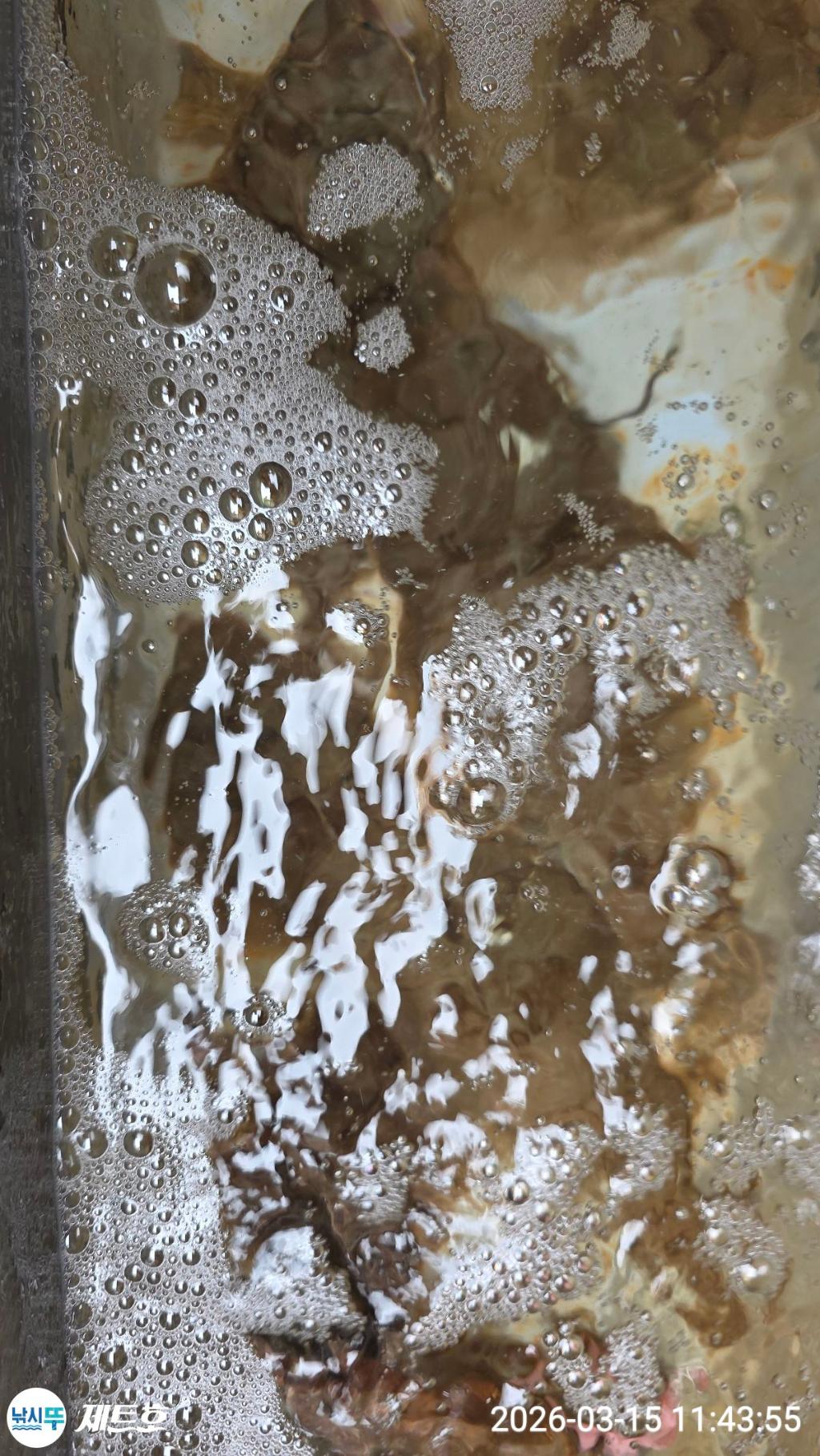 낚시뚜,도다리,가자미,영일만항,포항 제트호,낚시뚜11