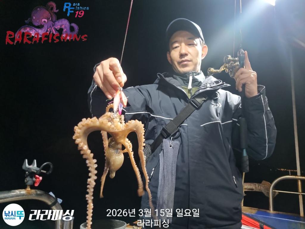 낚시뚜,낙지,속천항(진해),라라피싱,낚시뚜13