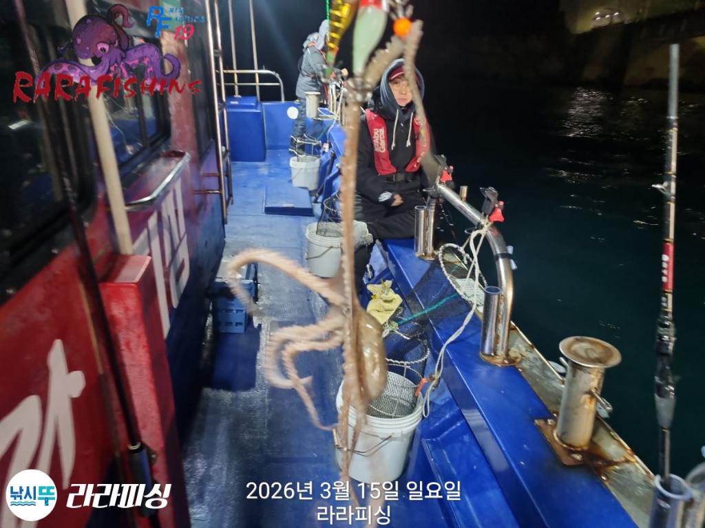낚시뚜,낙지,속천항(진해),라라피싱,낚시뚜10
