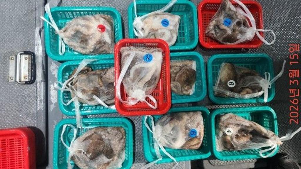 낚시뚜,도다리,속천항(진해),바루나피싱,낚시뚜11