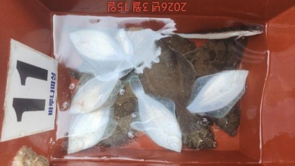 낚시뚜,도다리,속천항(진해),바루나피싱,낚시뚜9