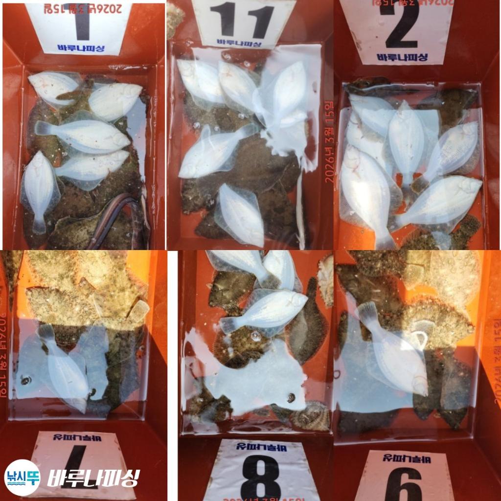 낚시뚜,도다리,속천항(진해),바루나피싱,낚시뚜1