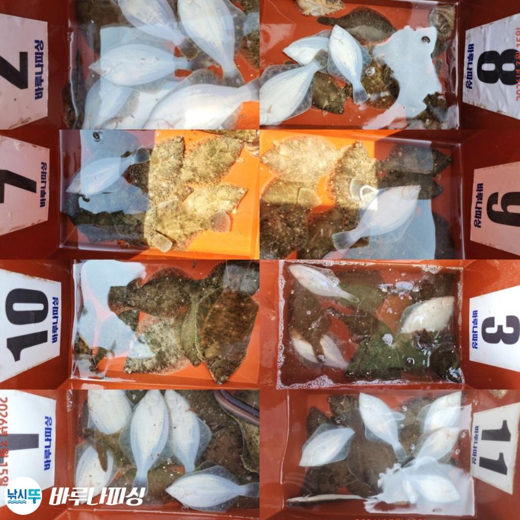 낚시뚜,도다리,속천항(진해),바루나피싱,낚시뚜0