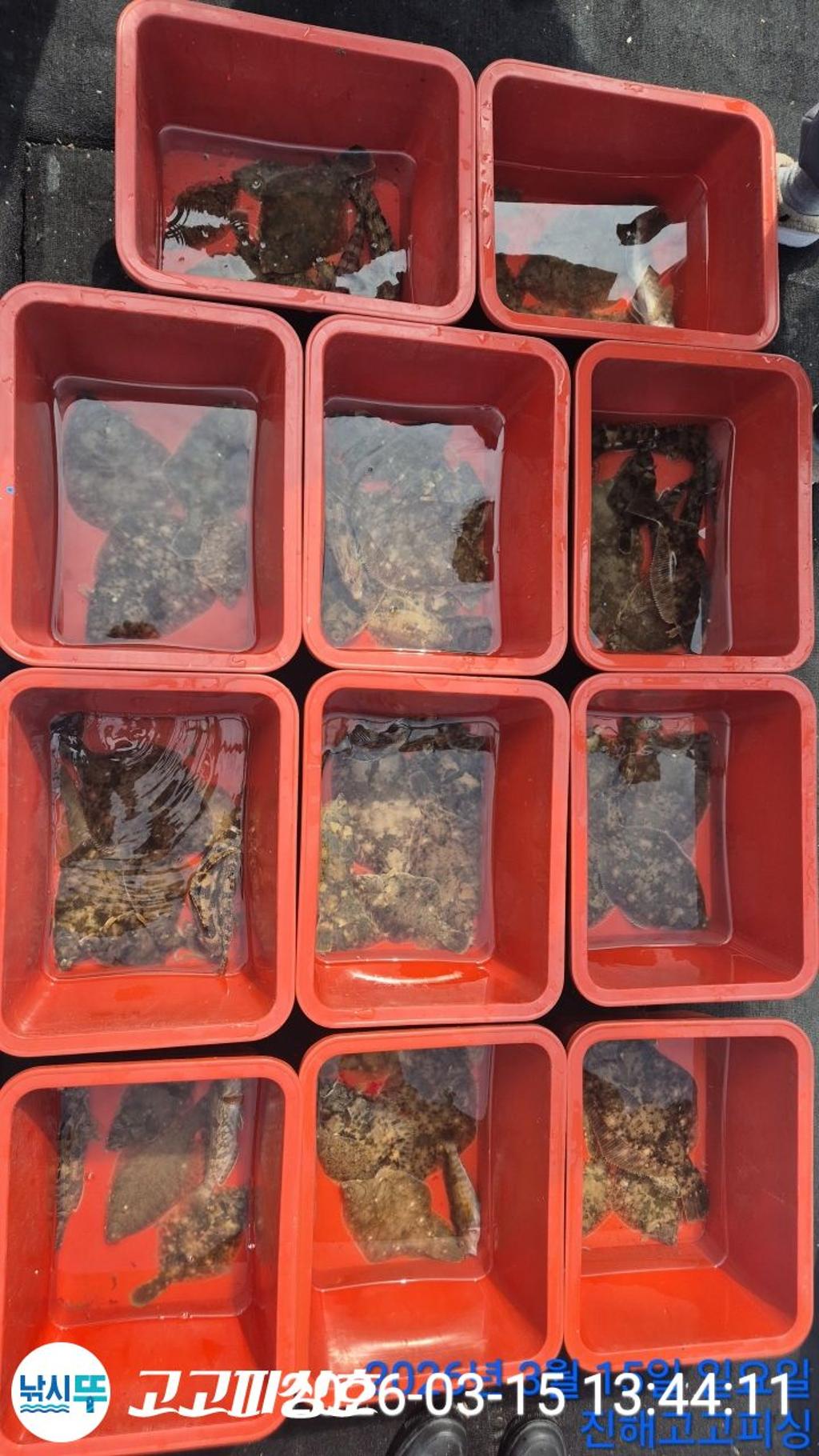 낚시뚜,도다리,속천항(진해),고고피싱호,낚시뚜19