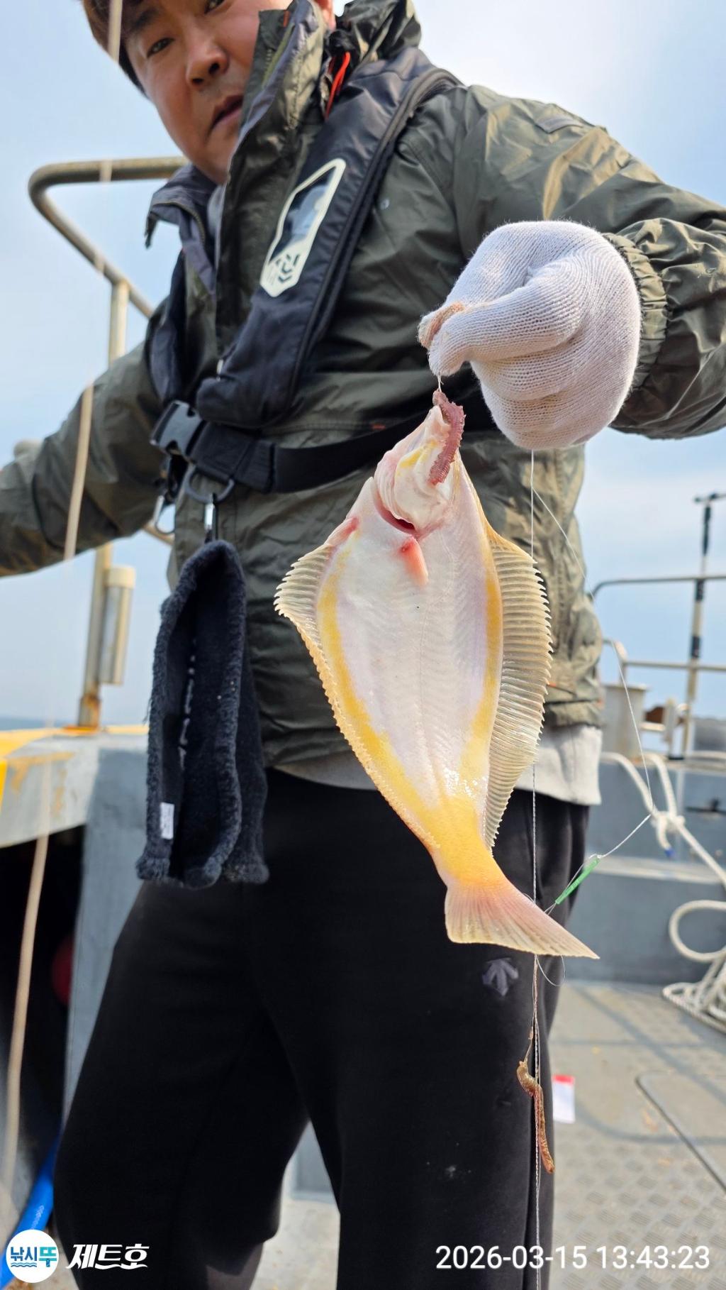 낚시뚜,도다리,가자미,영일만항,포항 제트호,낚시뚜14