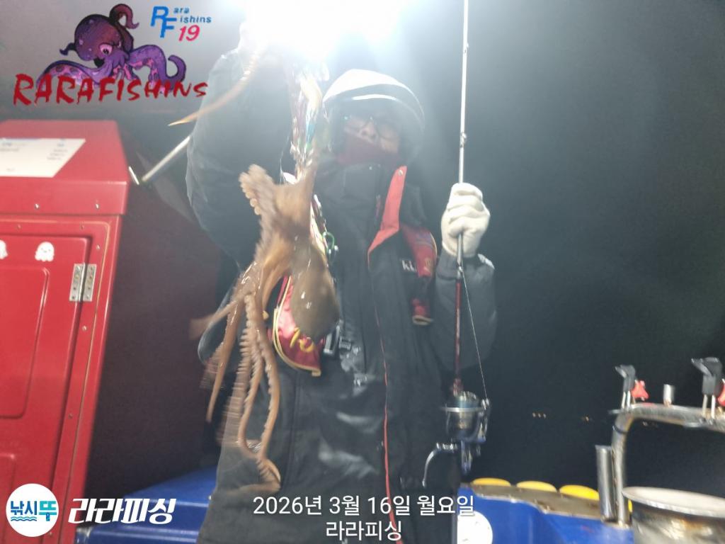 낚시뚜,낙지,속천항(진해),라라피싱,낚시뚜1