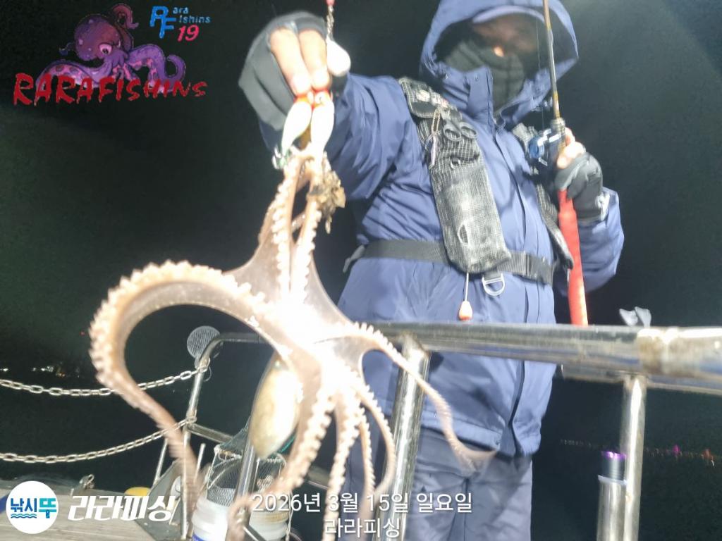 낚시뚜,낙지,속천항(진해),라라피싱,낚시뚜1