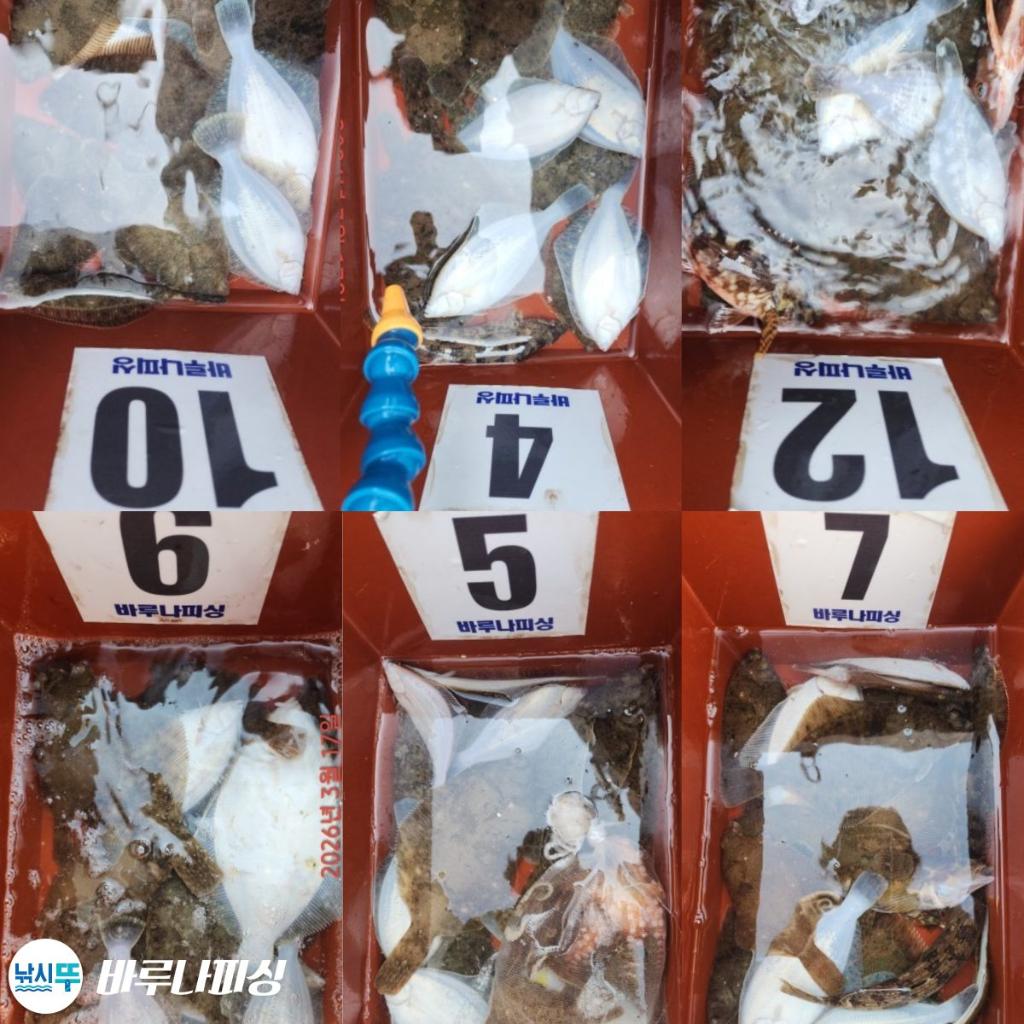 낚시뚜,도다리,속천항(진해),바루나피싱,낚시뚜11