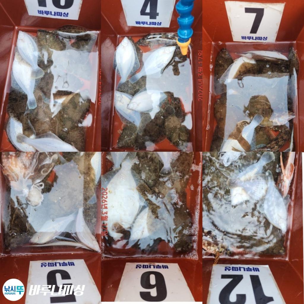 낚시뚜,도다리,속천항(진해),바루나피싱,낚시뚜10