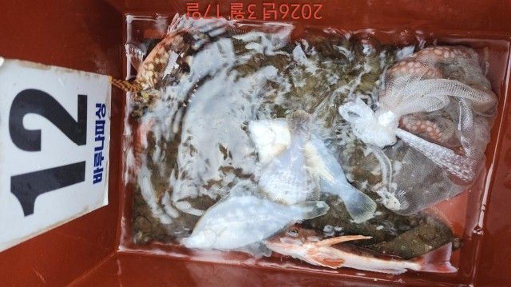 낚시뚜,도다리,속천항(진해),바루나피싱,낚시뚜7