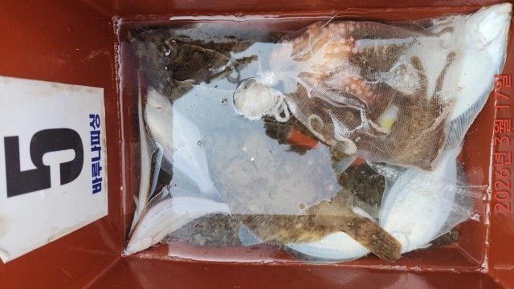 낚시뚜,도다리,속천항(진해),바루나피싱,낚시뚜5