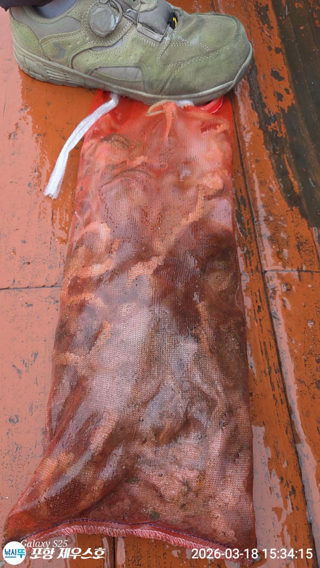 낚시뚜,쭈꾸미,영일만항,포항 제우스호,낚시뚜26