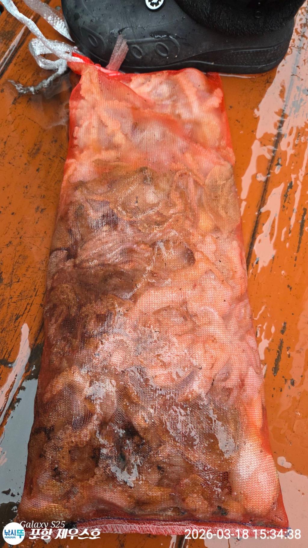 낚시뚜,쭈꾸미,영일만항,포항 제우스호,낚시뚜25