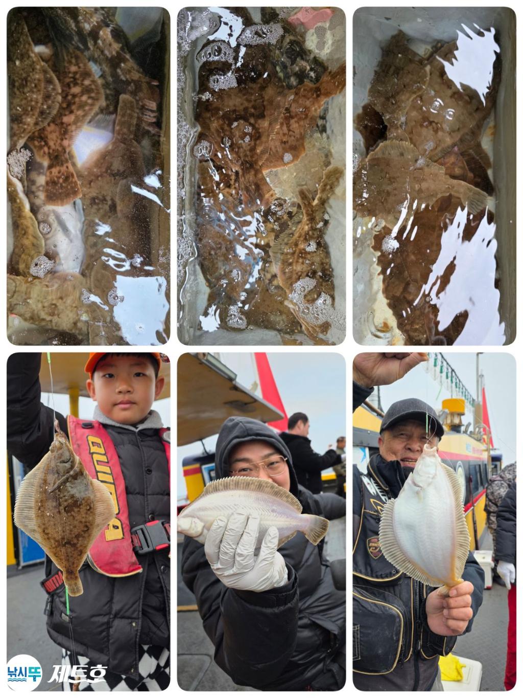 낚시뚜,도다리,가자미,영일만항,포항 제트호,낚시뚜5