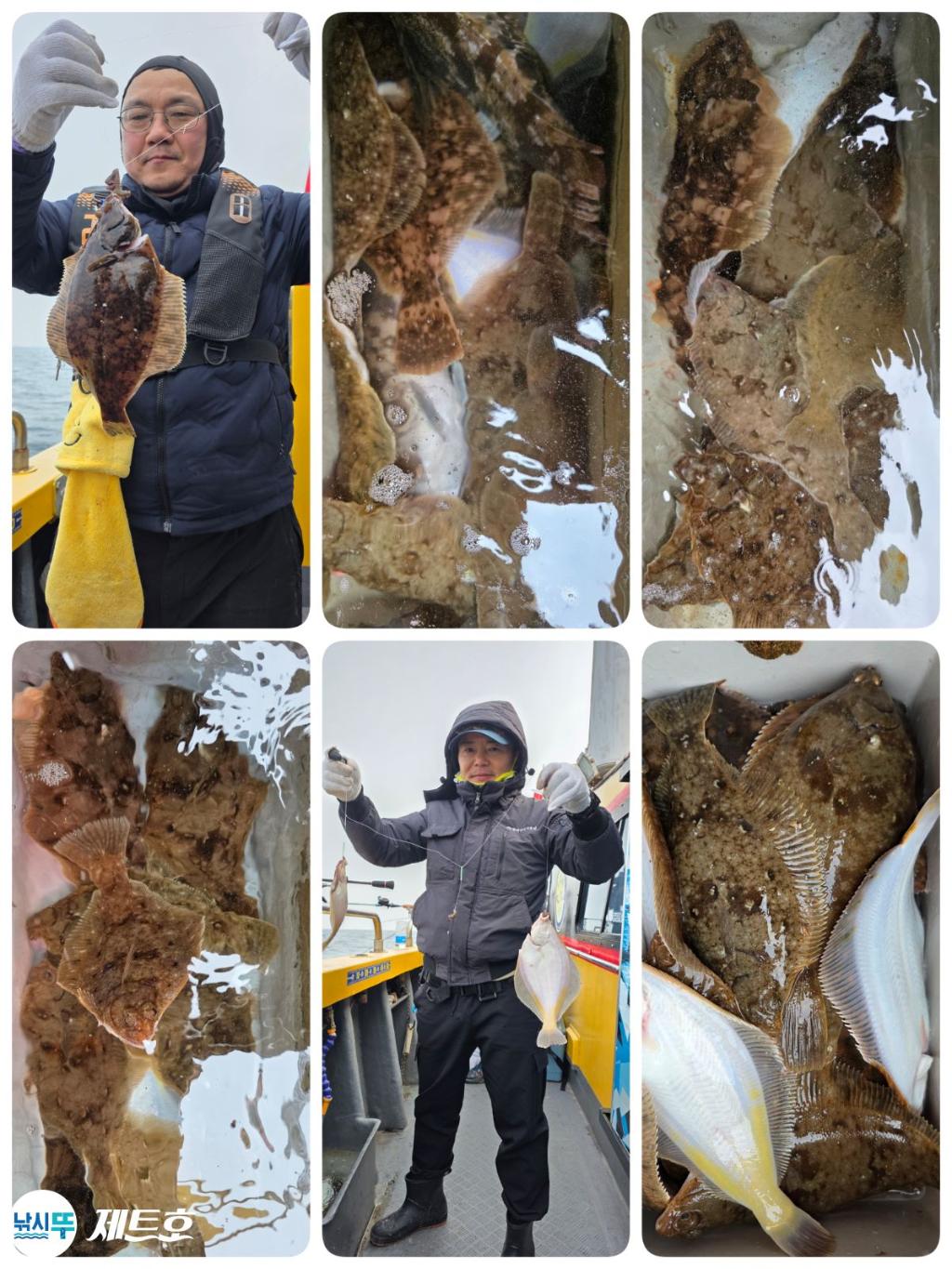 낚시뚜,도다리,가자미,영일만항,포항 제트호,낚시뚜2