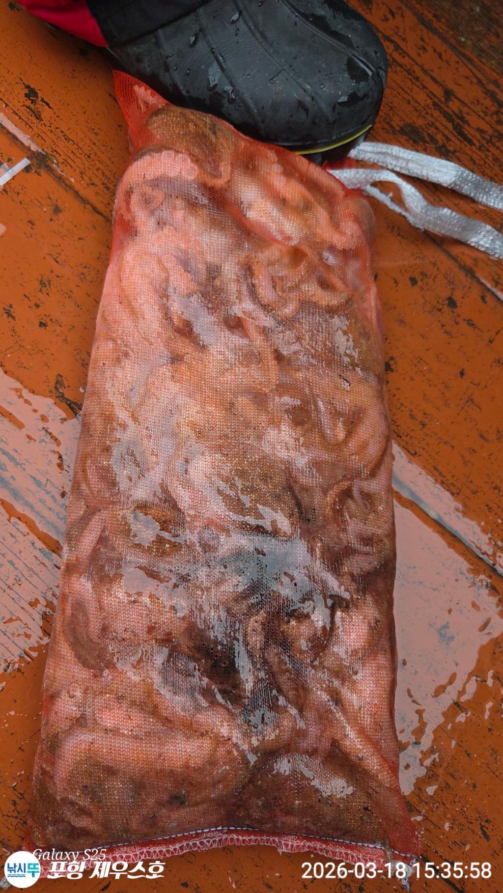 낚시뚜,쭈꾸미,영일만항,포항 제우스호,낚시뚜23