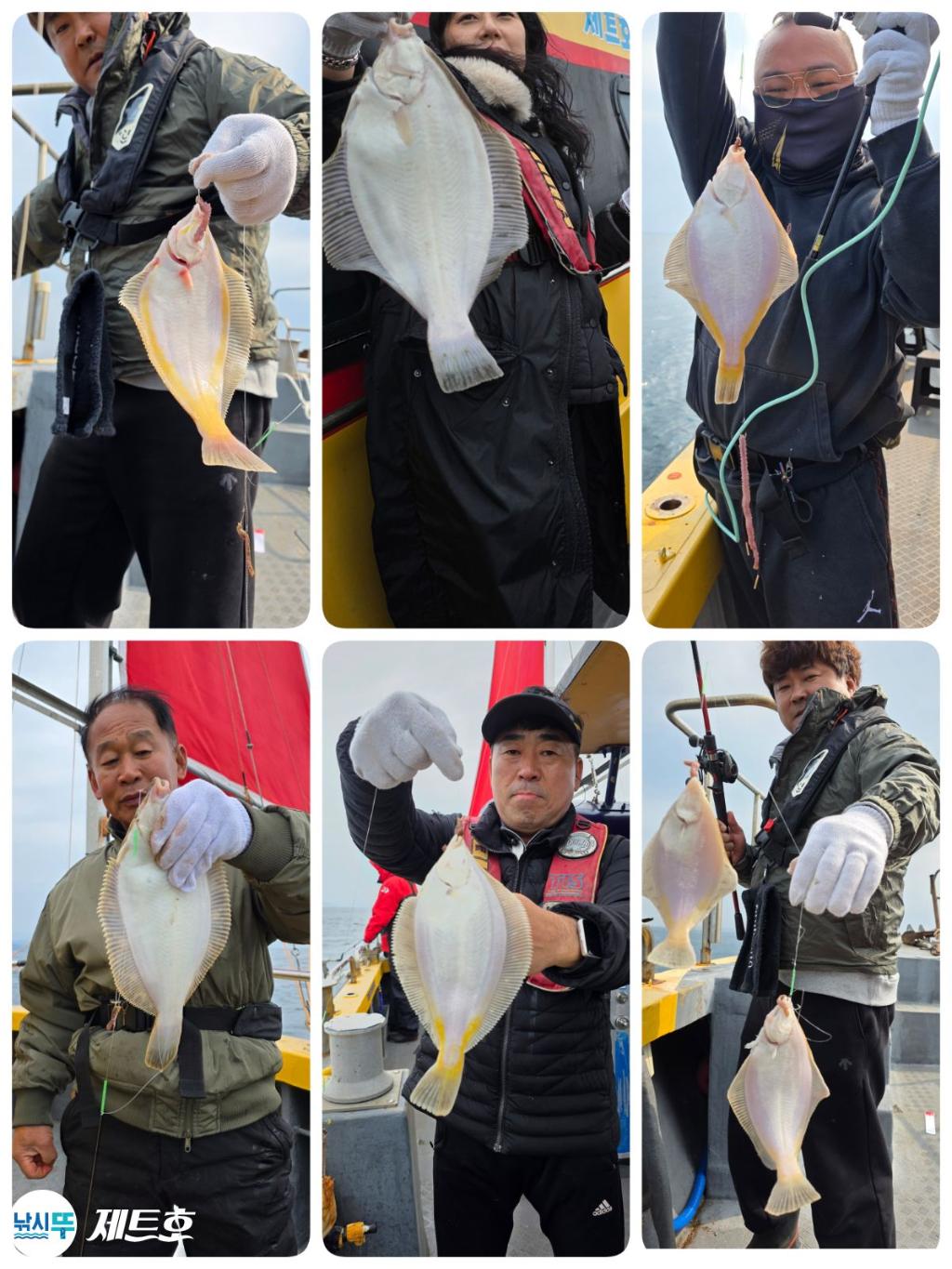 낚시뚜,도다리,가자미,영일만항,포항 제트호,낚시뚜0