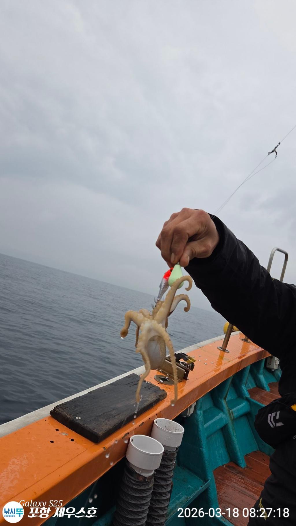 낚시뚜,쭈꾸미,영일만항,포항 제우스호,낚시뚜11