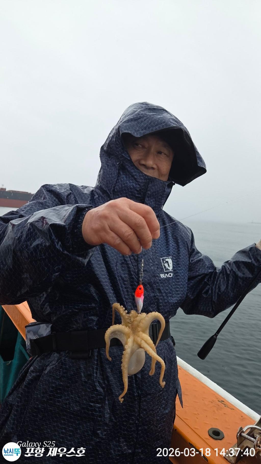 낚시뚜,쭈꾸미,영일만항,포항 제우스호,낚시뚜10