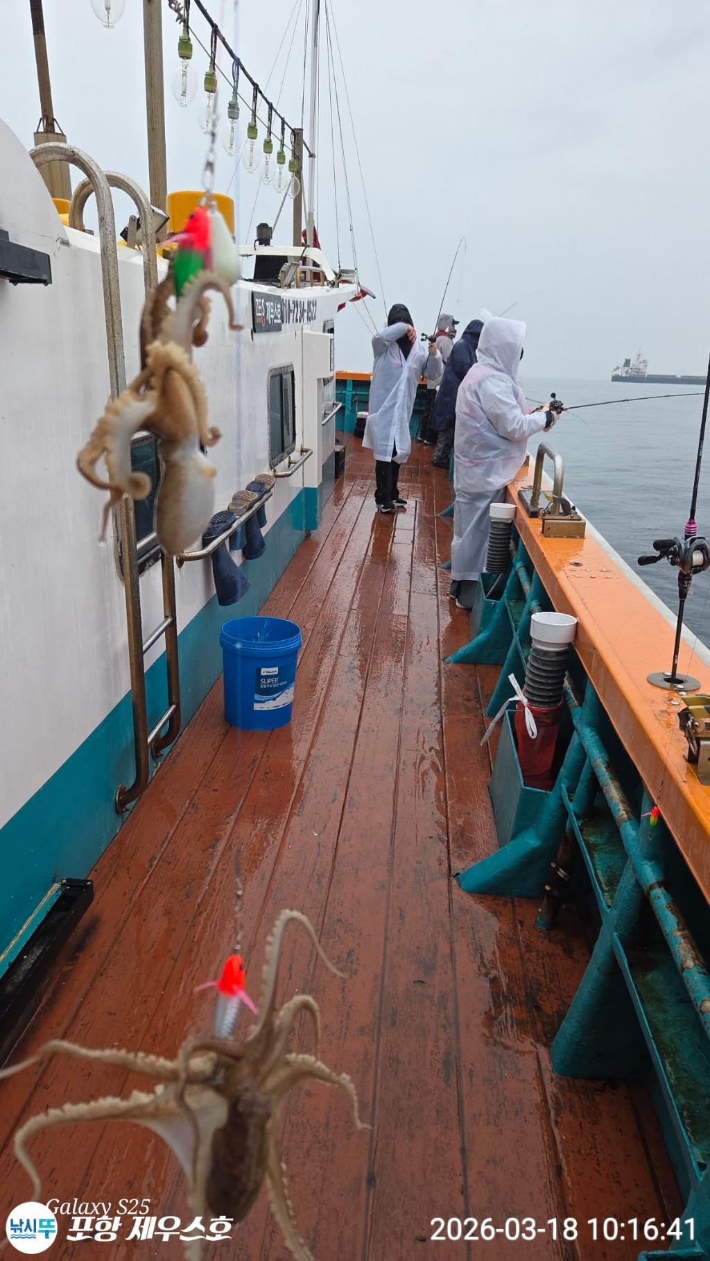 낚시뚜,쭈꾸미,영일만항,포항 제우스호,낚시뚜1
