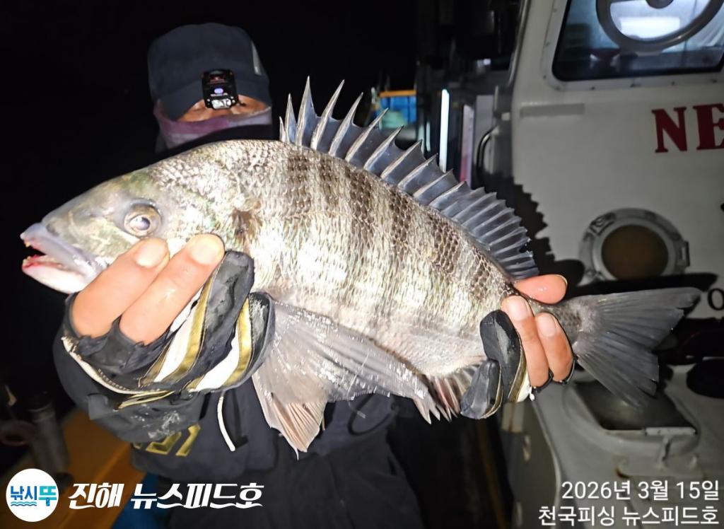 낚시뚜,감성돔,진해행암항,진해 뉴스피드호,낚시뚜2