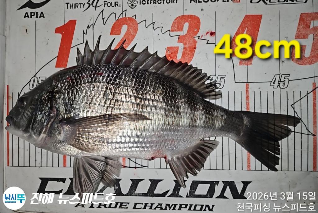 낚시뚜,감성돔,진해행암항,진해 뉴스피드호,낚시뚜0