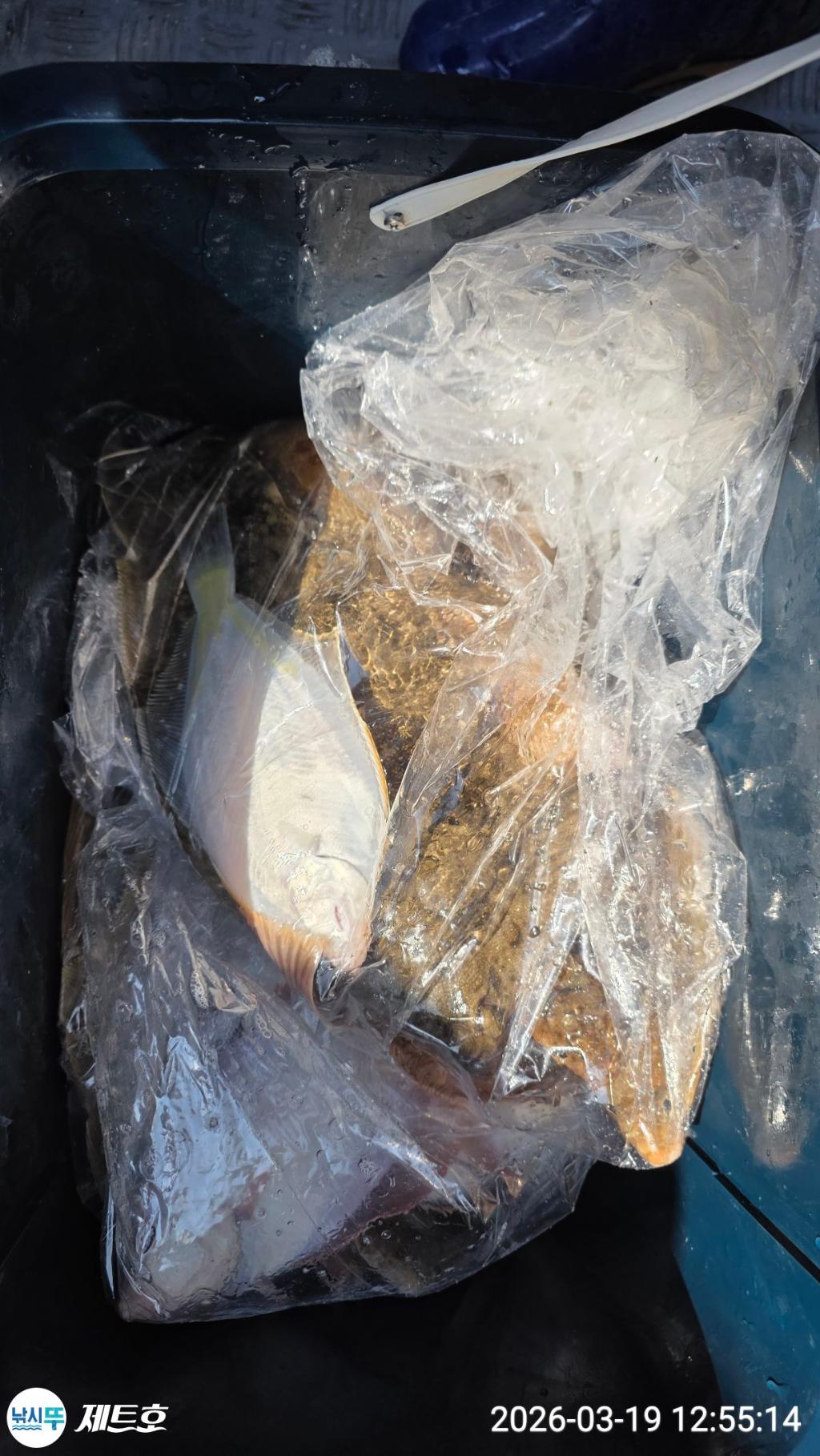 낚시뚜,도다리,가자미,영일만항,포항 제트호,낚시뚜42