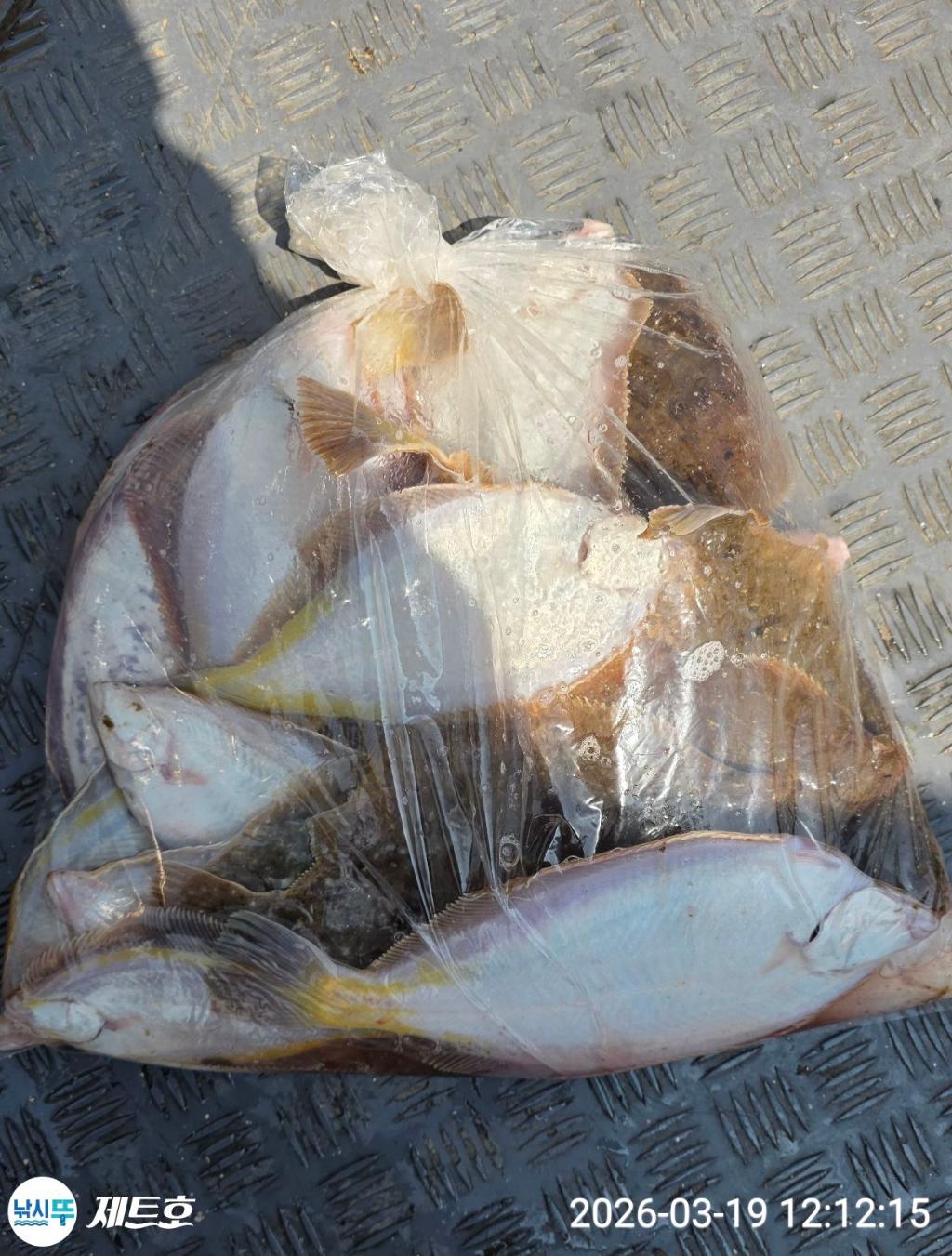 낚시뚜,도다리,가자미,영일만항,포항 제트호,낚시뚜36