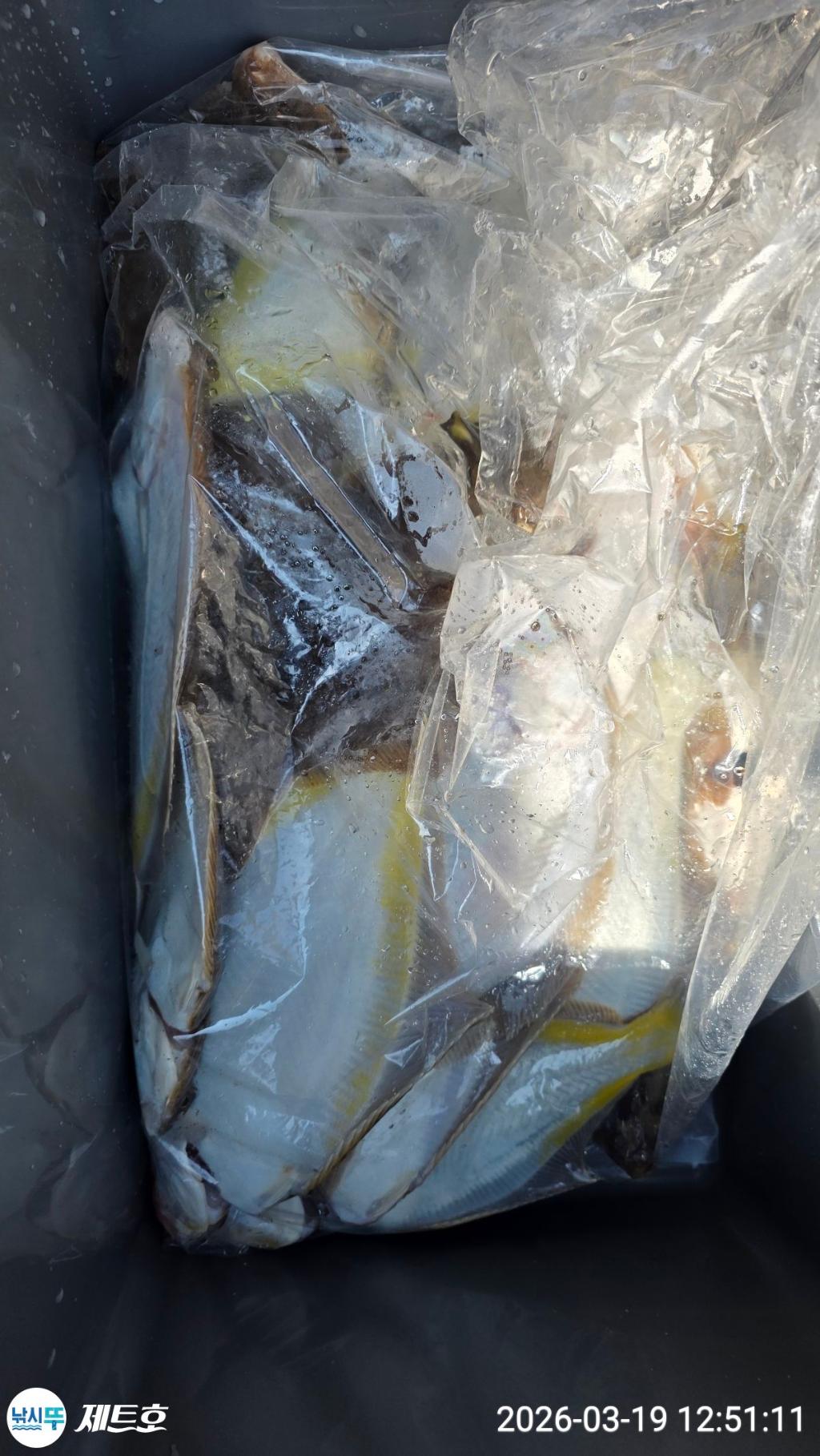 낚시뚜,도다리,가자미,영일만항,포항 제트호,낚시뚜31