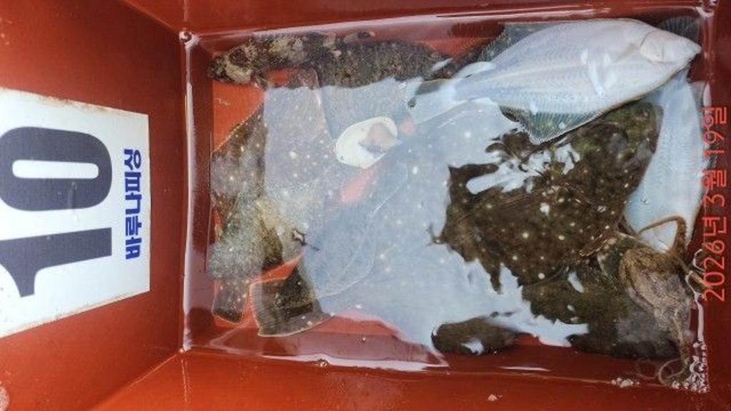 낚시뚜,도다리,속천항(진해),바루나피싱,낚시뚜6