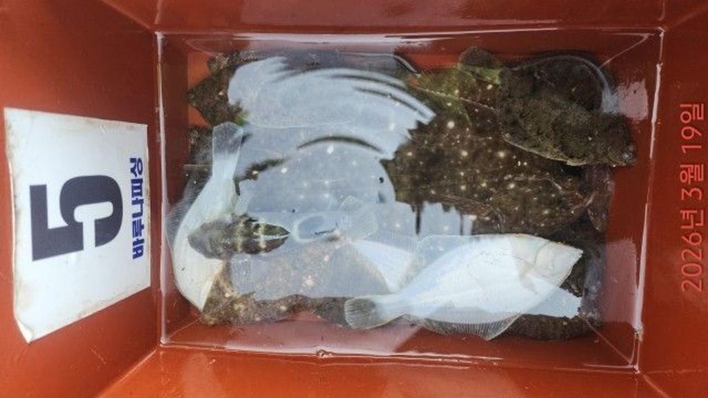 낚시뚜,도다리,속천항(진해),바루나피싱,낚시뚜5