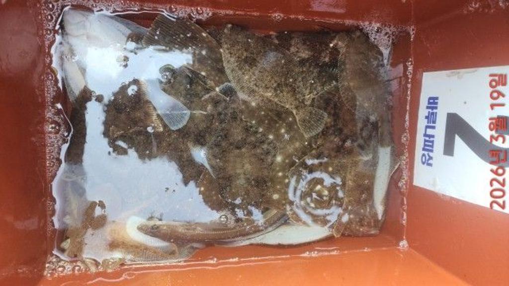 낚시뚜,도다리,속천항(진해),바루나피싱,낚시뚜2