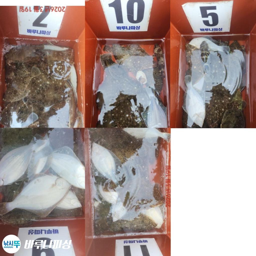 낚시뚜,도다리,속천항(진해),바루나피싱,낚시뚜7