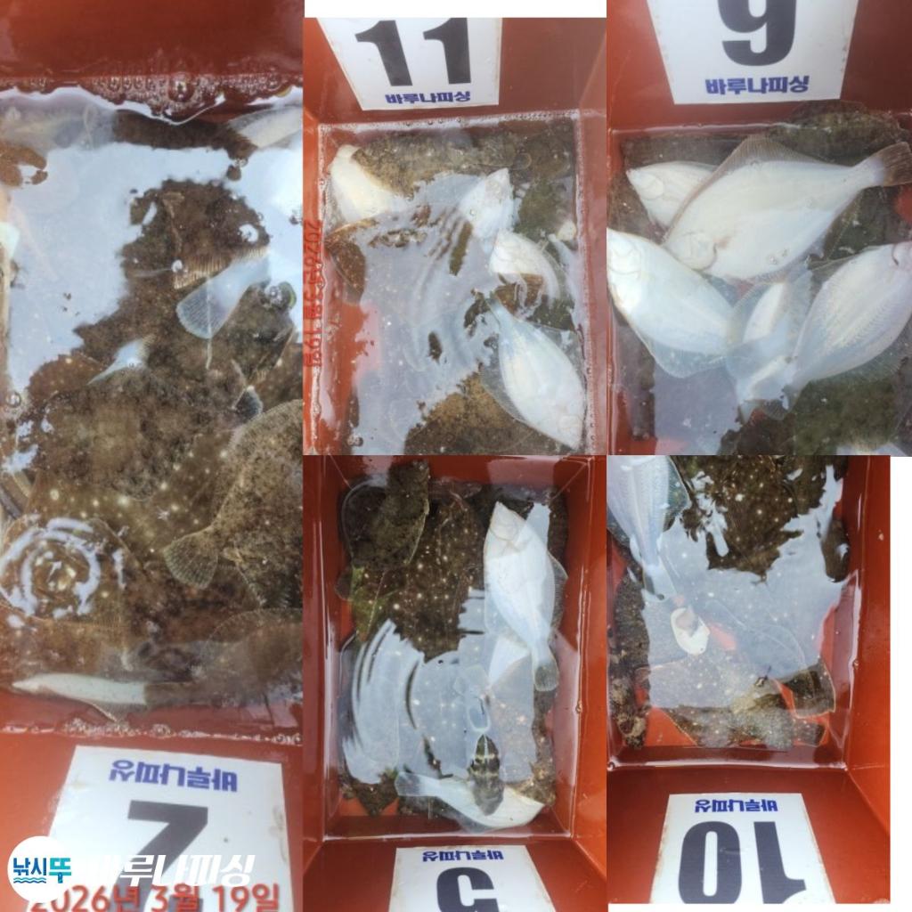 낚시뚜,도다리,속천항(진해),바루나피싱,낚시뚜6