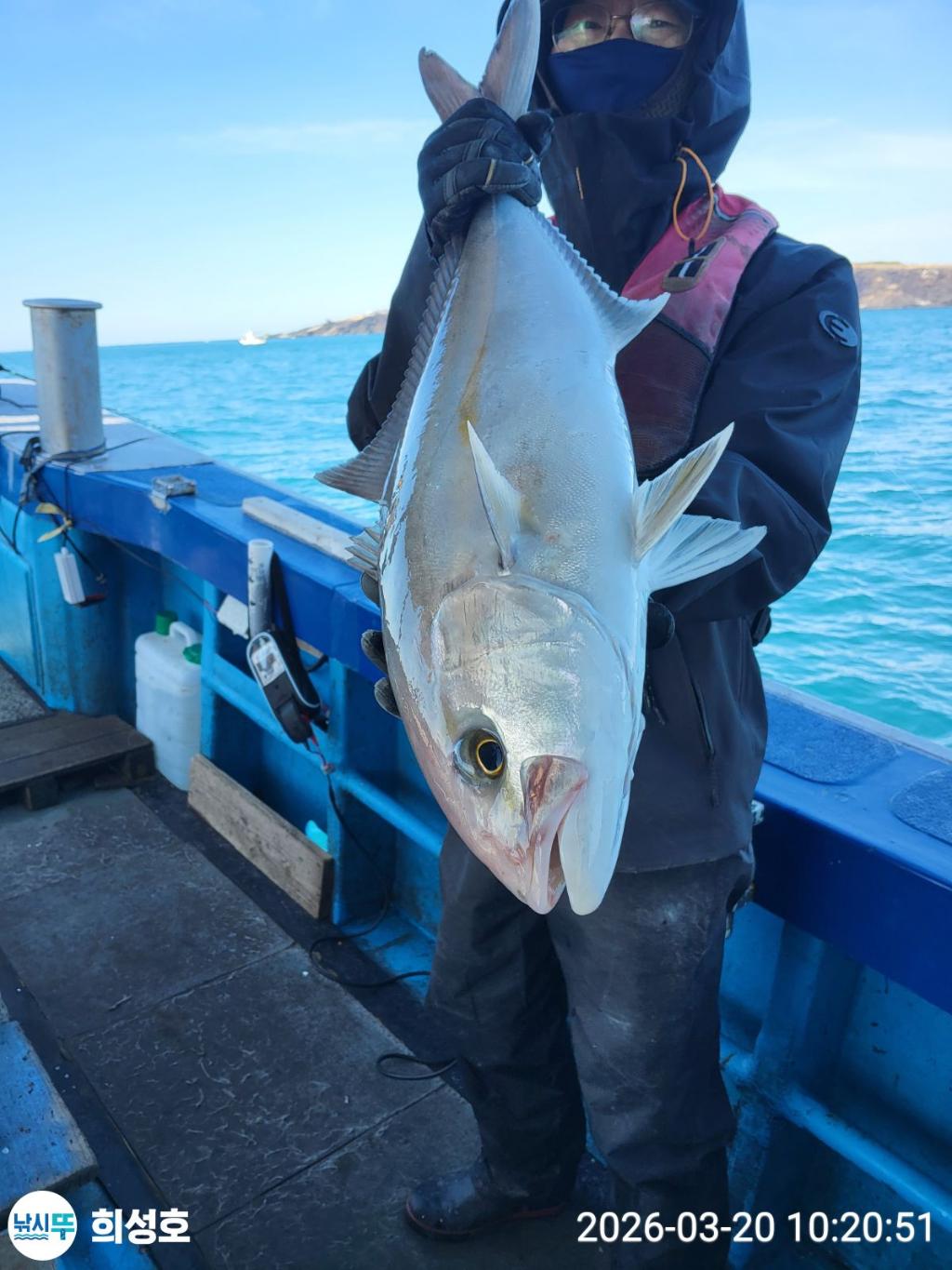 낚시뚜,방어,부시리,모슬포항,희성호,낚시뚜12