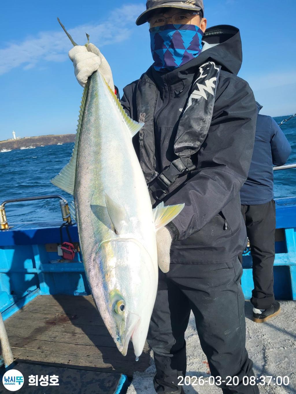 낚시뚜,방어,부시리,모슬포항,희성호,낚시뚜8