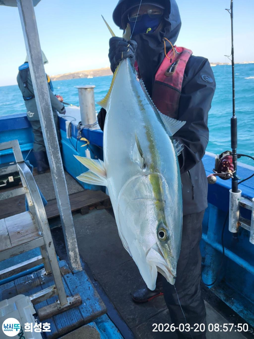 낚시뚜,방어,부시리,모슬포항,희성호,낚시뚜5
