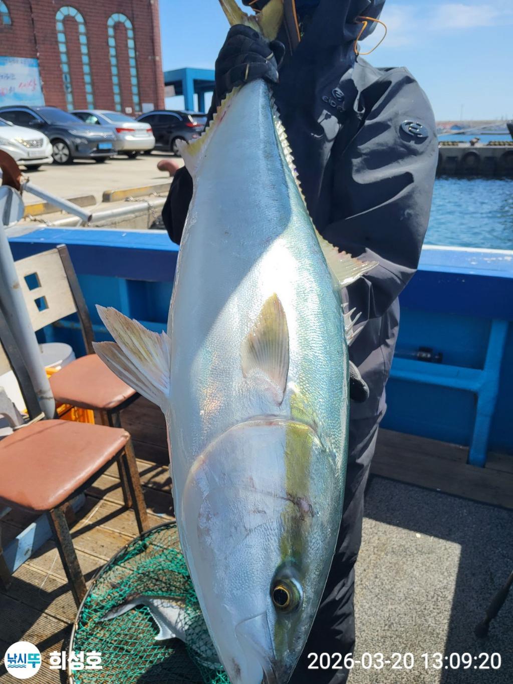 낚시뚜,방어,부시리,모슬포항,희성호,낚시뚜4