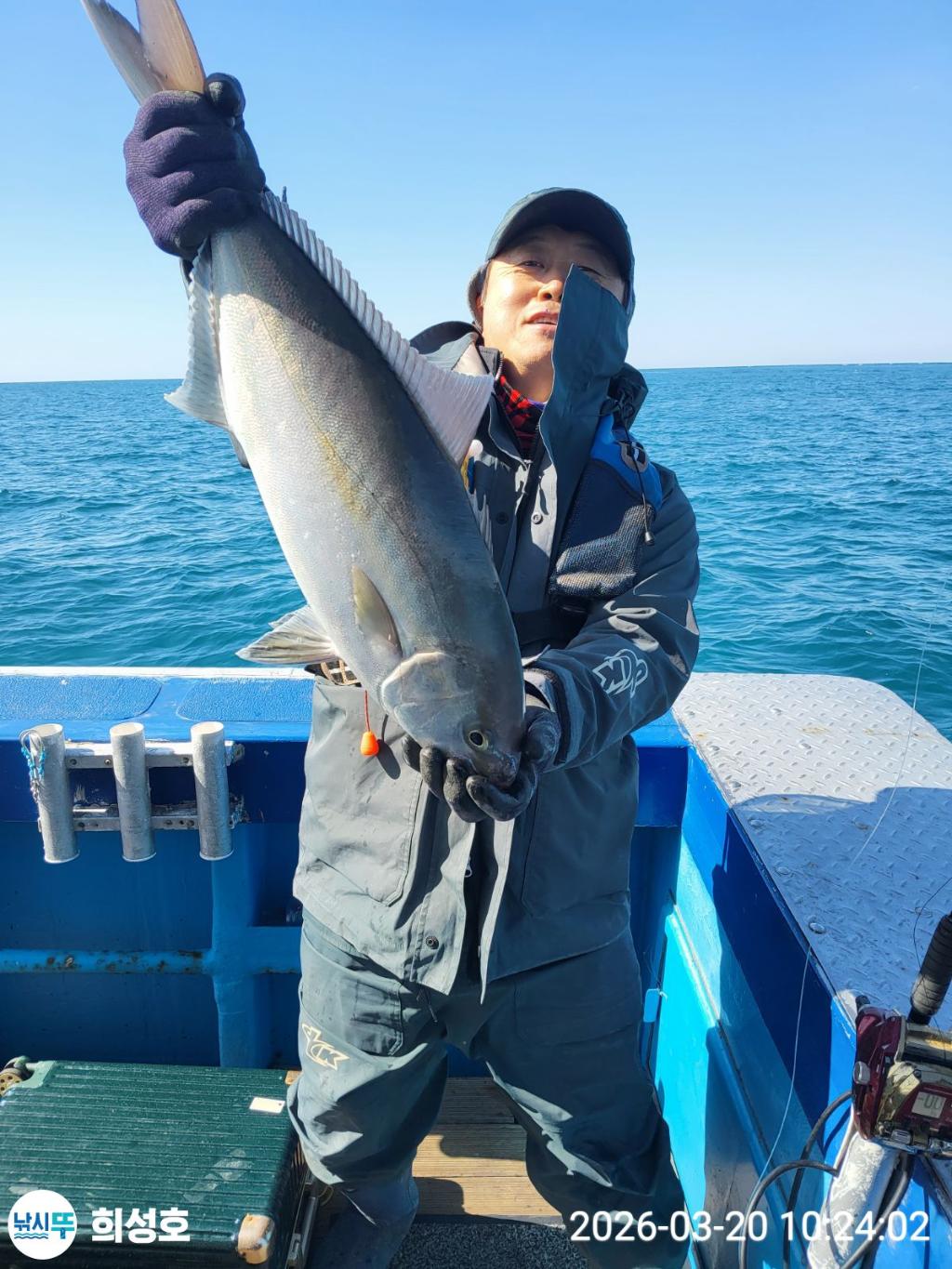 낚시뚜,방어,부시리,모슬포항,희성호,낚시뚜3